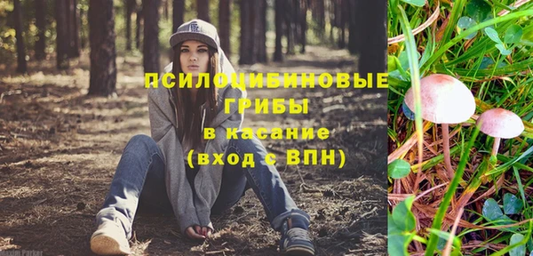 гашиш Пересвет